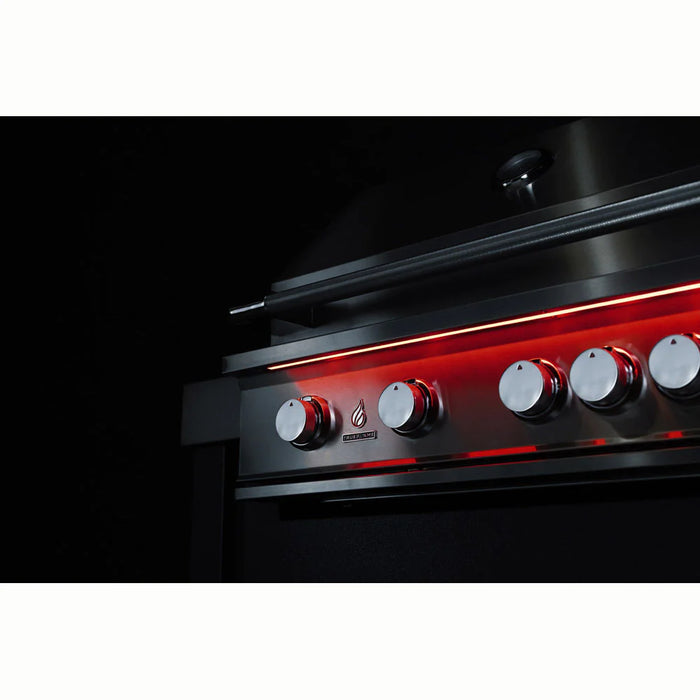 TrueFlame 40" 5 Burner Gas Grill