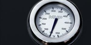 Phoenix SDSSOCP 53 Inch Freestanding Liquid Propane Grill with 2 Standard Burners, 400 sq. inch Grilling Surface Size, Side Table, Stainless Steel Side Shelves in Stainless Steel