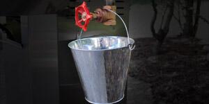 Phoenix SDBOCP 53 Inch Freestanding Liquid Propane Grill with 2 Standard Burners, 400 sq. inch Grilling Surface Size, Side Table, Stainless Steel Side Shelves in Stainless Steel