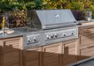 Outdoor Kitchen Stainless Steel Platinum Dual Side Burner BBQ GRILL New Age   
