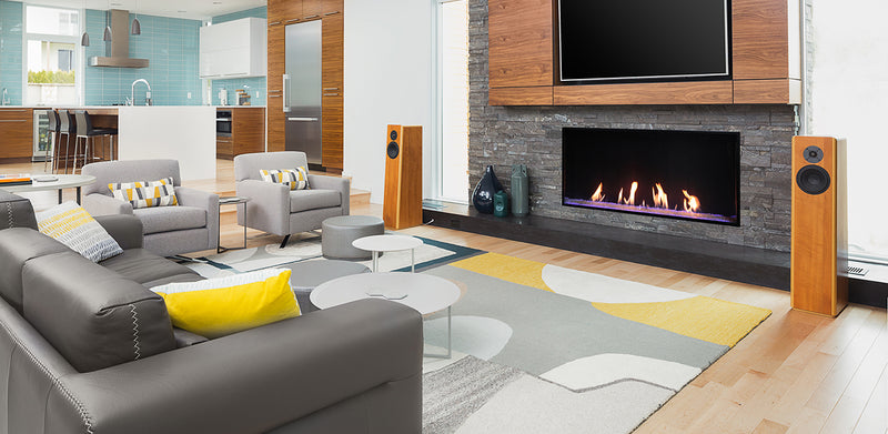 Plaza 55'' Linear, Single-Sided, Screen Barrier, Fireplace