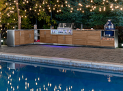 Platinum Grill Stainless Steel 36'' BBQ GRILL New Age   