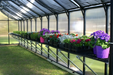 Riverstone Monticello Mojave 8 ft x 12 ft Greenhouse Black MONT-12-BK-MOJAVE Greenhouses RiverStone   