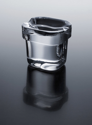 Summit 62 lb. Clear Outdoor Icemaker (Panel Not Included) Refrigerators Summit Appliance   