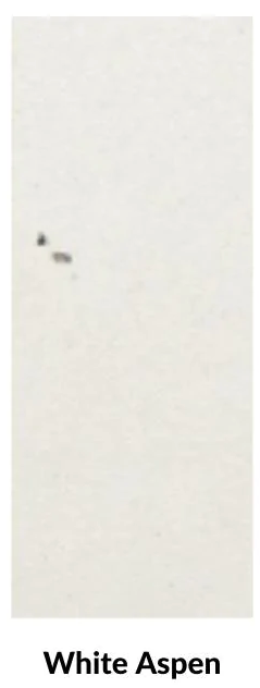 American Fyre Designs Wave 20-Inch Free Standing Outdoor Gas Fire Urn Fireplaces CG Products White Aspen With Access Door 