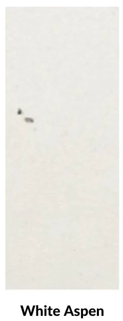 American Fyre Designs Lotus 48-Inch Round Concrete Gas Fire Pit Table Fireplaces CG Products White Aspen  