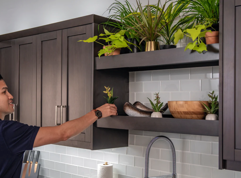 Home 36 in. Two Door Base Cabinet with Glass Doors furniture New Age   