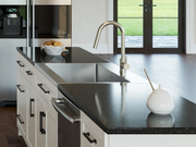 Classic Pull-Down Faucet furniture New Age   