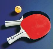 Set of Two Outdoor Ping Pong Paddles Outdoor Games FrontGate   