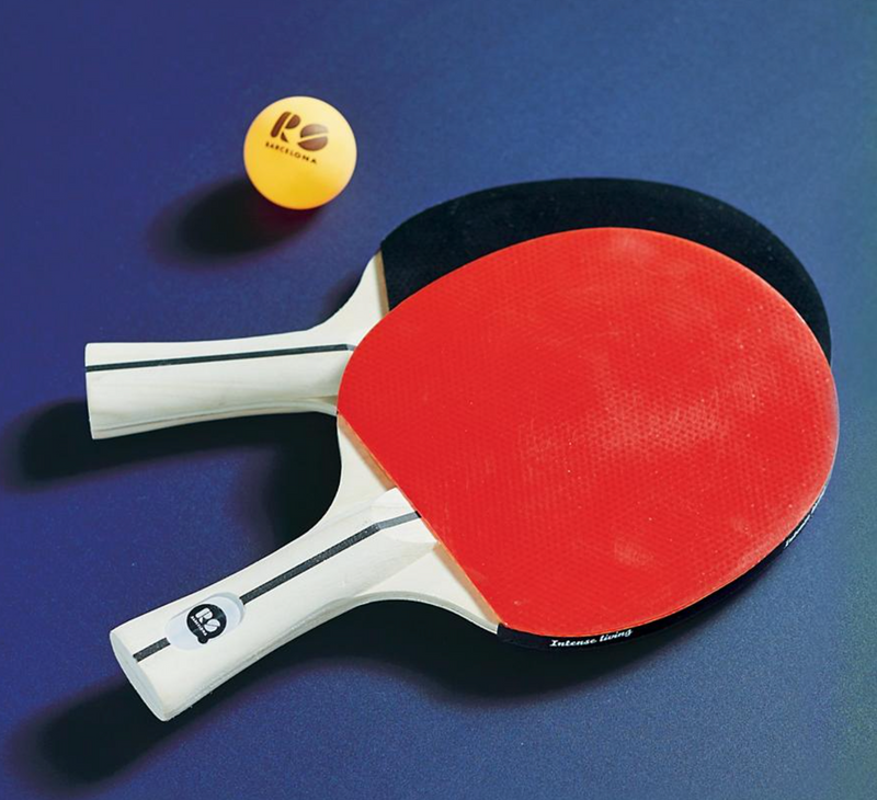 Set of Two Outdoor Ping Pong Paddles Outdoor Games FrontGate   
