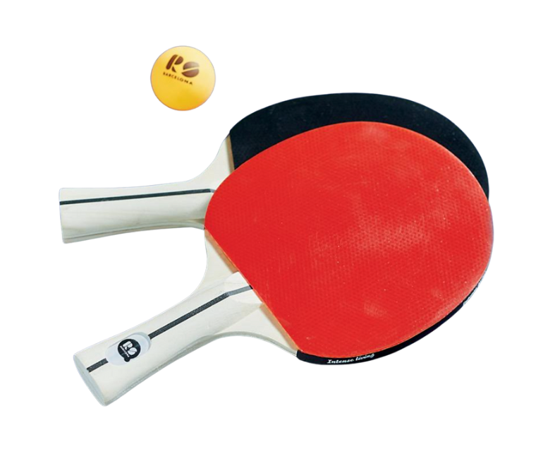 Set of Two Outdoor Ping Pong Paddles Outdoor Games FrontGate   