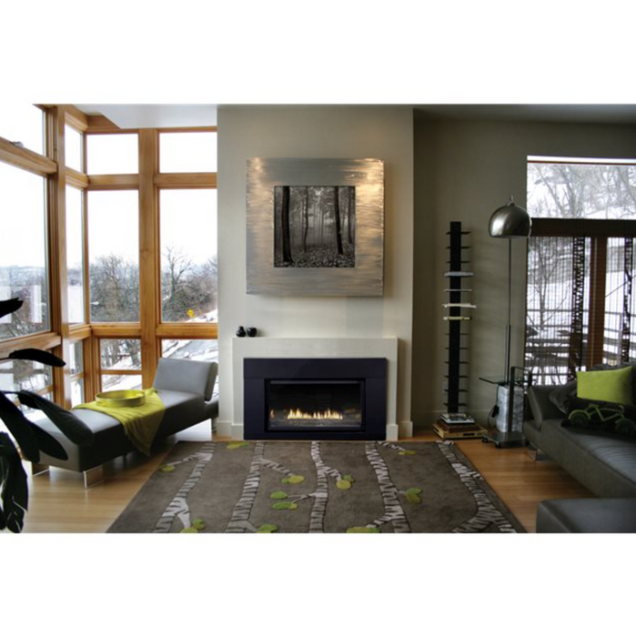Loft Series Direct-Vent Fireplace Insert- Medium Intermittent Pilot Control with On/Off Switch, Natural Gas