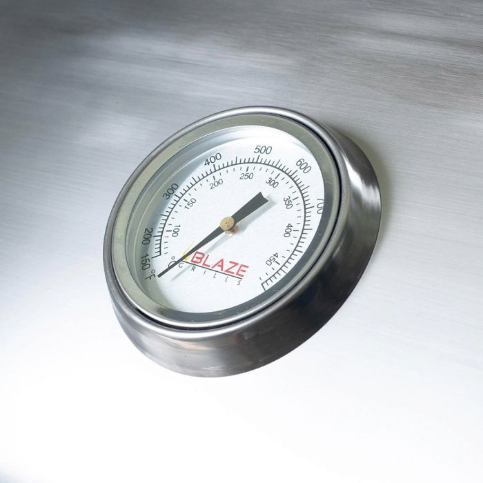 Blaze BLZ-ELEC-21 Stainless Steel Electric Grill with Pedestal, 21-inch